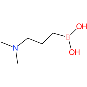 [3-(dimethylamino)propyl]boronic acid