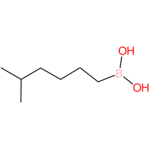 (5-methylhexyl)boronic acid