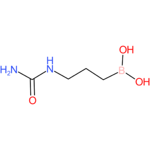 [3-(carbamoylamino)propyl]boronic acid