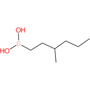 (3-methylhexyl)boronic acid