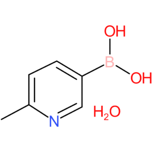 2-picoline-5-boronic acid hydrate