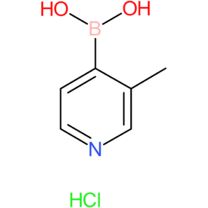 3-picoline-4-boronic acid hcl