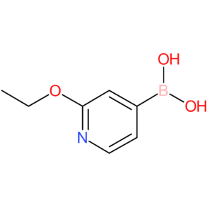 2-ethoxypyridine-4-boronic acid