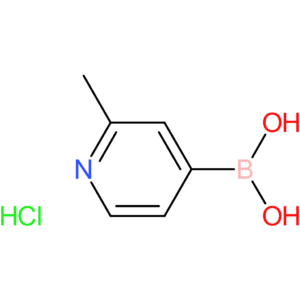 2-picoline-4-boronic acid hcl