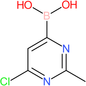 6-chloro-2-methylpyrimidine-4-boronic acid