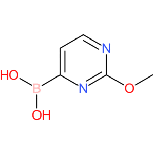 2-methoxypyrimidine-4-boronic acid