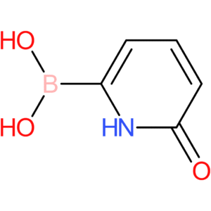 (6-oxo-1,6-dihydropyridin-2-yl)boronic acid