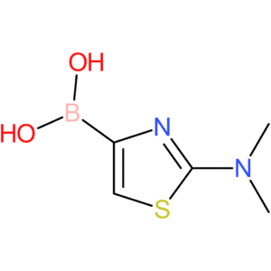 2-dimethylaminothiazolE-4-boronic acid