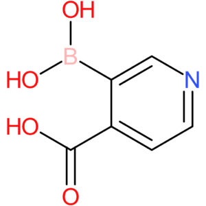 3-boronoisonicotinic acid