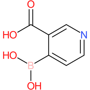 4-borononicotinic acid
