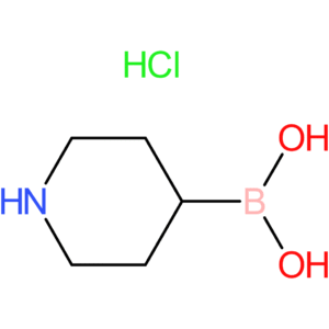 piperidine-4-boronic acid hydrochloride