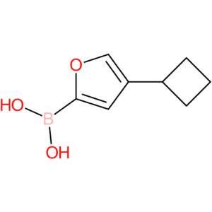 4-(cyclobutyl)furan-2-boronic acid