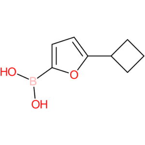 5-(cyclobutyl)furan-2-boronic acid