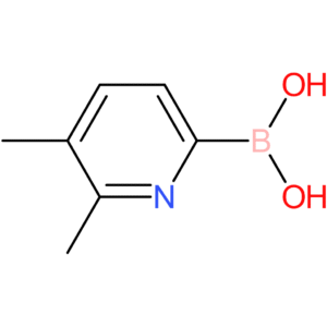 (5,6-dimethylpyridin-2-yl)boronic acid