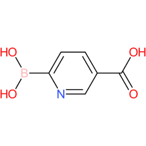 6-borononicotinic acid