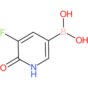 (5-fluoro-6-oxo-1,6-dihydropyridin-3-yl)boronic acid