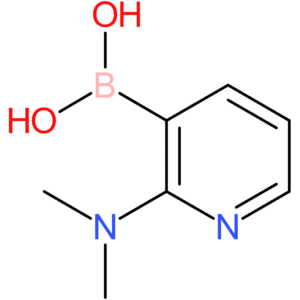 2-(dimethylamino)pyridin-3-ylboronic acid