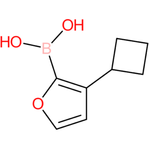 3-(cyclobutyl)furan-2-boronic acid
