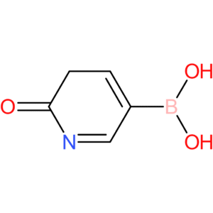 1,6-dihydro-6-oxopyridine-3-boronic acid