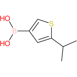5-isopropylthiophene-3-boronic acid