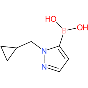 1-(cyclopropylmethyl)-1h-pyrazolE-5-boronic acid