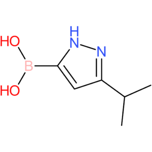 [3-(propan-2-yl)-1h-pyrazol-5-yl]boronic acid