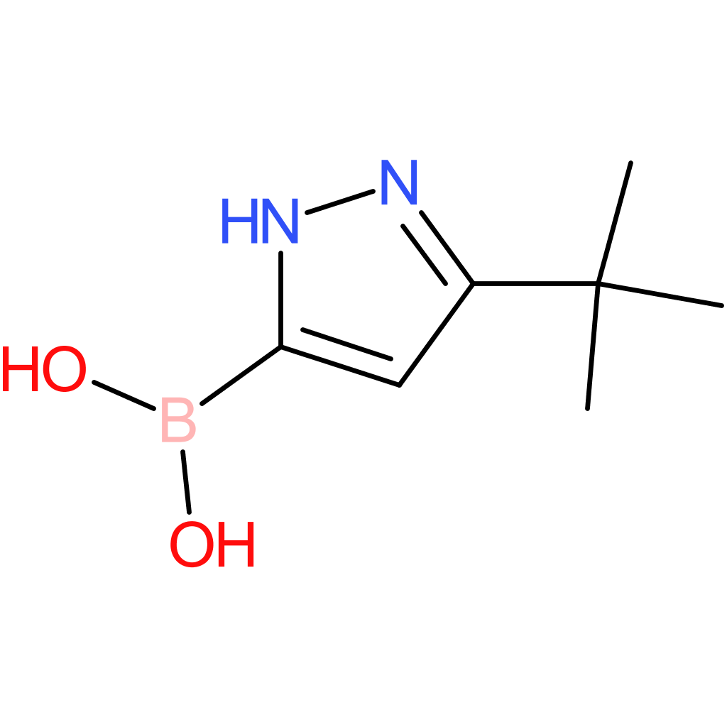3-tert-butyl-1h-pyrazolE-5-boronic acid