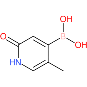 5-methyl-2-oxo-1,2-dihydropyridin-4-ylboronic acid