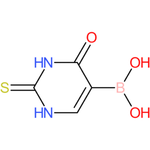 (4-oxo-2-sulfanylidene-1,2,3,4-tetrahydropyrimidin-5-yl)boronic acid
