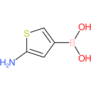 5-aminothiophen-3-ylboronic acid