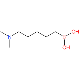 (5-(dimethylamino)pentyl)boronic acid