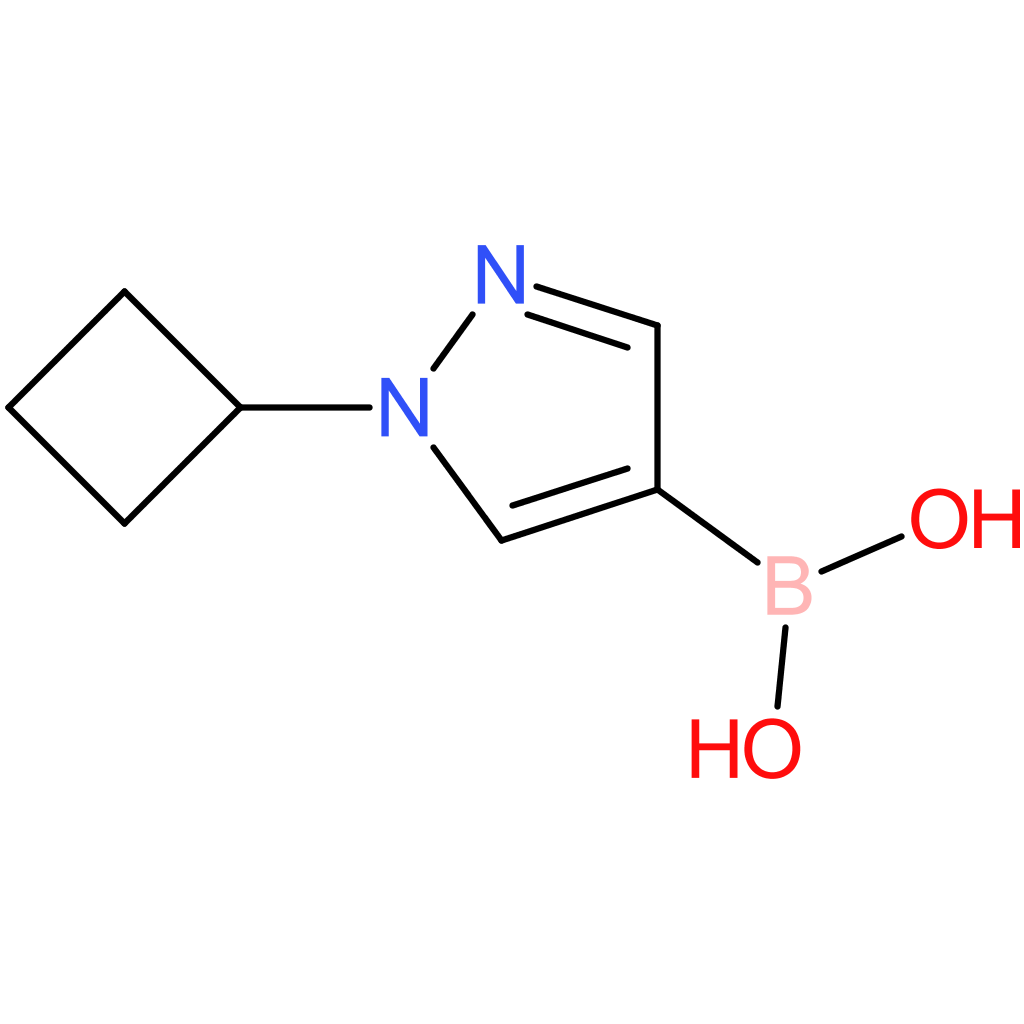 (1-cyclobutylpyrazol-4-yl)boronic acid