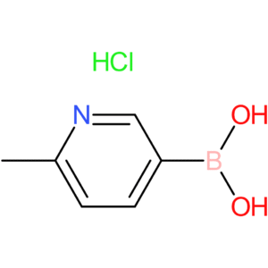 2-methylpyridine-5-boronic acid hydrochloride