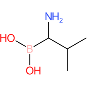 (1-amino-2-methylpropyl)boronic acid