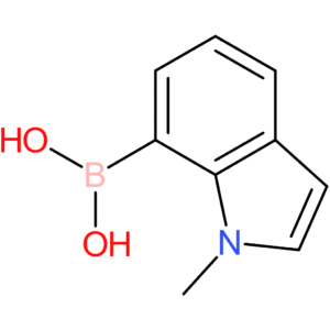 1-methylindolE-7-boronic acid