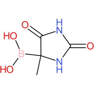 (4-methyl-2,5-dioxoimidazolidin-4-yl)boronic acid