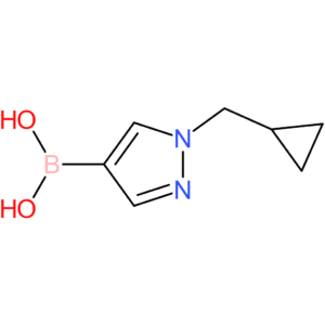 1-(cyclopropylmethyl)pyrazolE-4-boronic acid