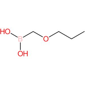 (propoxymethyl)boronic acid