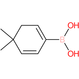 (4,4-dimethylcyclohexa-1,5-dien-1-yl)boronic acid