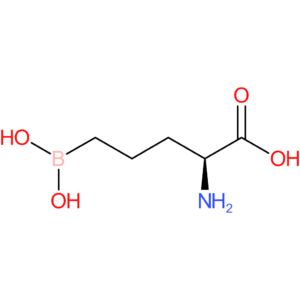 5-borono-norvaline