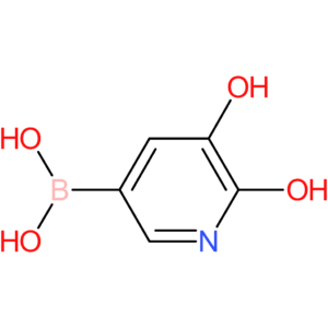 5,6-dihydroxypyridin-3-ylboronic acid