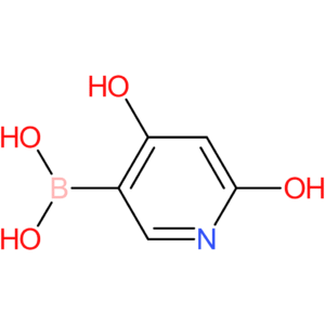 4,6-dihydroxypyridin-3-ylboronic acid