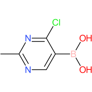 4-chloro-2-methylpyrimidine-5-boronic acid