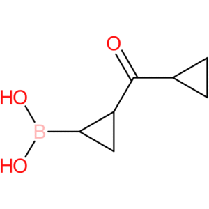 2-(cyclopropanecarbonyl)cyclopropane boronic acid