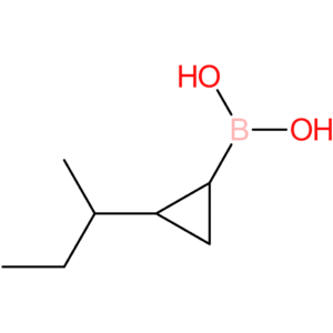 2-(sec-butyl)cyclopropane boronic acid
