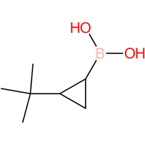 2-(tert-butyl)cyclopropane boronic acid