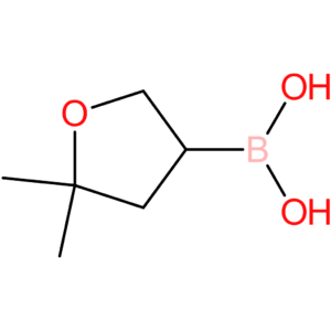 5,5-dimethyltetrahydrofuran-3-boronic acid