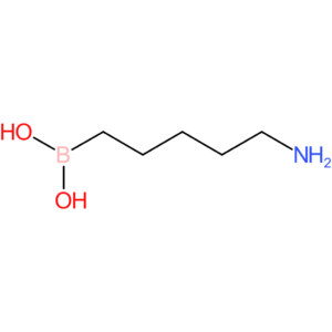(5-aminopentyl)boronic acid