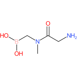 [(2-amino-n-methylacetamido)methyl]boronic acid