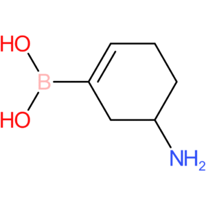 5-aminocyclohex-1-enylboronic acid